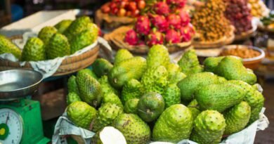 Graviola: Benefícios Naturais para Sua Saúde e Bem-Estar